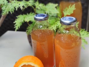 Kampung Kombucha at GUI